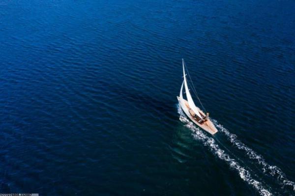 体育培训招生宣传海报常见误区解析(图1)